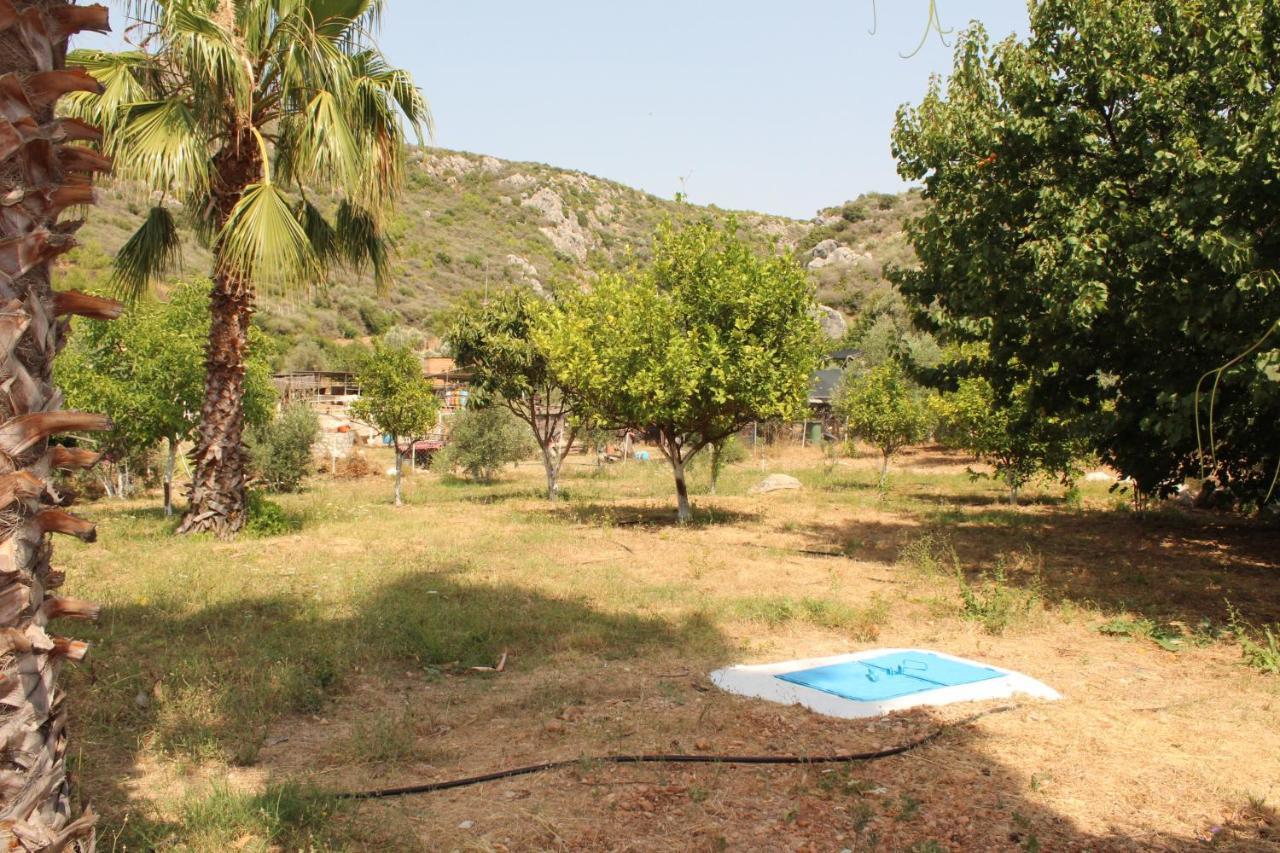 Patara Caretta Hotel Exterior photo